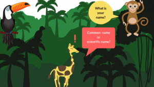 nomenclatura das espécies
